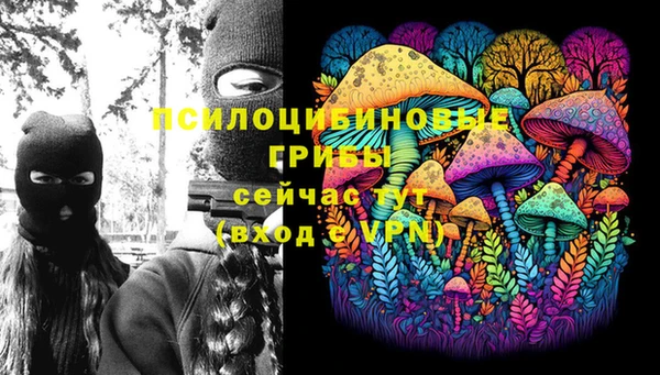 MDMA Богородицк